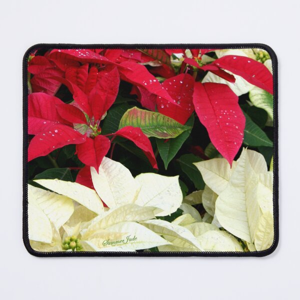 Item preview, Poinsettias Sprinkled with Raindrops designed and sold by SummerJade.