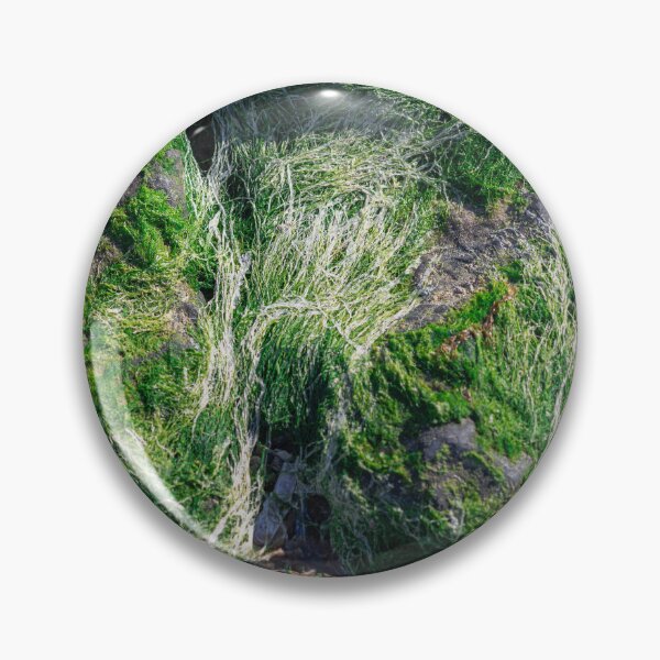 Item preview, Abundant green algae marine coastal ecosystem designed and sold by photossmirnov.