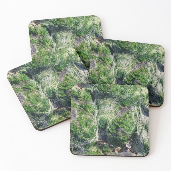 Item preview, Abundant green algae marine coastal ecosystem designed and sold by photossmirnov.