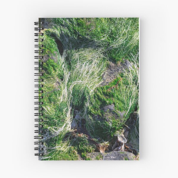 Item preview, Abundant green algae marine coastal ecosystem designed and sold by photossmirnov.