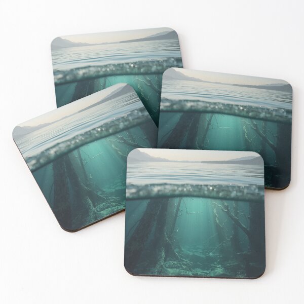 Item preview, The Forest Beneath | Fine Art Nature Photography designed and sold by VeloraNature.
