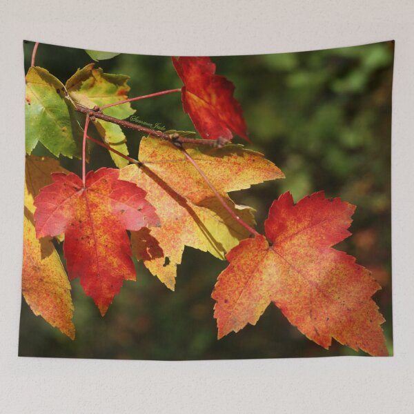 Item preview, Autumn Maple Leaves ~ Nature's Work designed and sold by SummerJade.