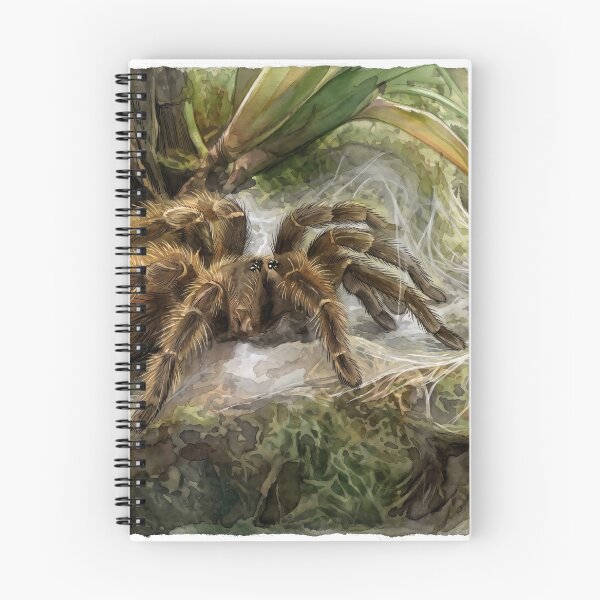 Item preview, Golden Tarantula in Silk Web — Tropical Watercolor Wildlife Art designed and sold by M.ALK.Watercolor.