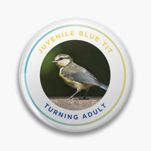 Item preview, Juvenile Blue Tit - Turning Adult designed and sold by KM Wong Photography.