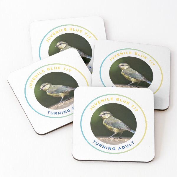 Item preview, Juvenile Blue Tit - Turning Adult designed and sold by KM Wong Photography.