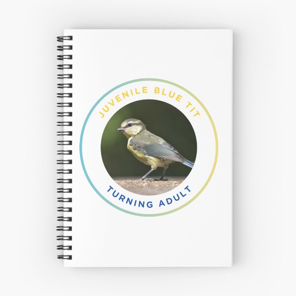Item preview, Juvenile Blue Tit - Turning Adult designed and sold by KM Wong Photography.