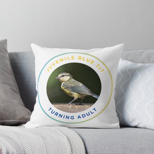 Item preview, Juvenile Blue Tit - Turning Adult designed and sold by KM Wong Photography.