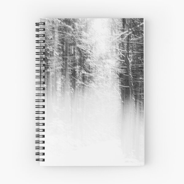 Item preview, Path Through the Frozen Pines: B&W Nordic Photography designed and sold by photossmirnov.