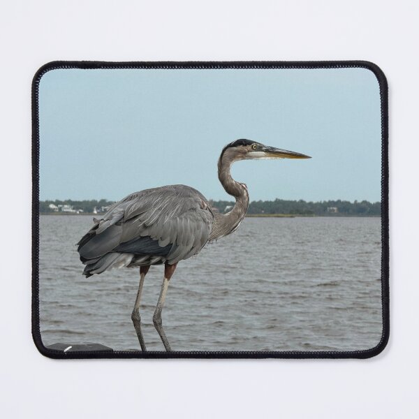 Item preview, Taking the plunge. designed and sold by Pearls1.