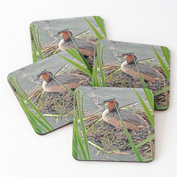 Item preview, Great Crested Grebe, Copenhagen, May 2026 designed and sold by RedHillDigital.