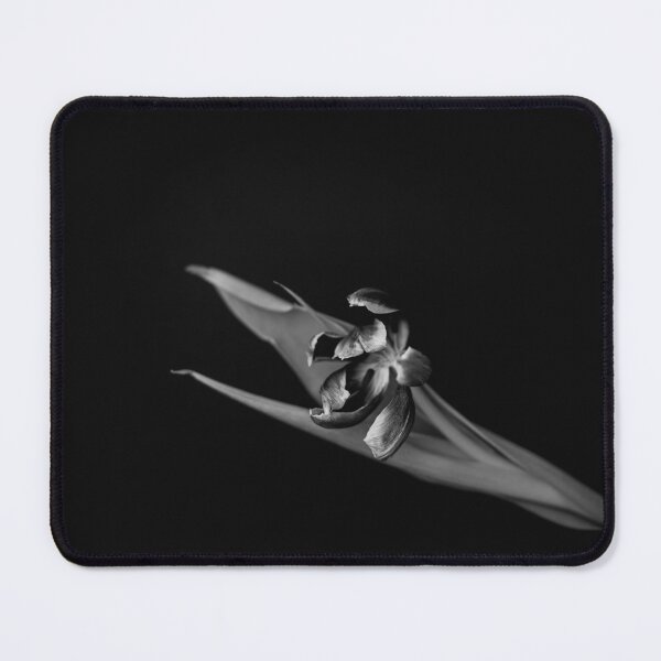 Item preview, The Shadow Bloom: Elegant B&W Botanical Noir designed and sold by photossmirnov.