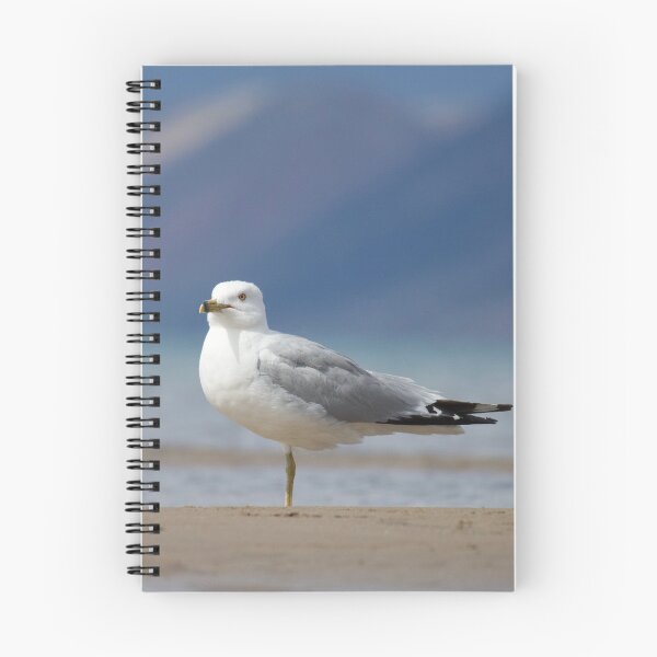 Item preview, Seagull on the Beach designed and sold by Picture1Perfect.