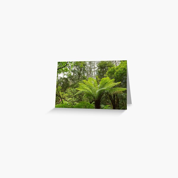 Item preview, Tree Fern designed and sold by robbo389.