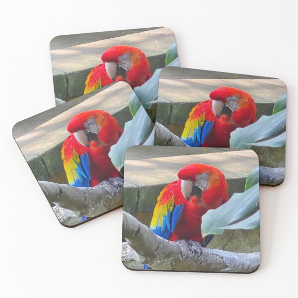 Item preview, Macaw sleeping on branch designed and sold by froggylu.