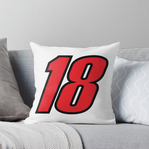 Item preview, Kyle Busch Rowdy NASCAR Paint Car #18 Red with Black Trim  designed and sold by Rolographics1.