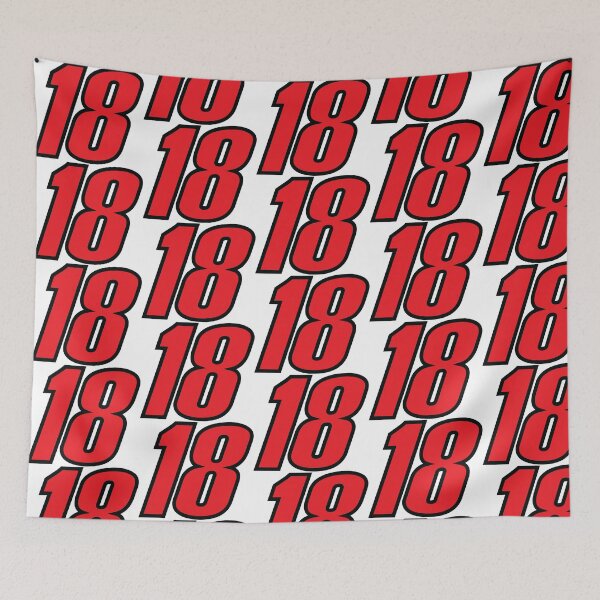 Artikelvorschau, Kyle Busch Rowdy NASCAR Lackierung Auto #18 Rot mit schwarzen Zierelementen entworfen und verkauft von Rolographics1.