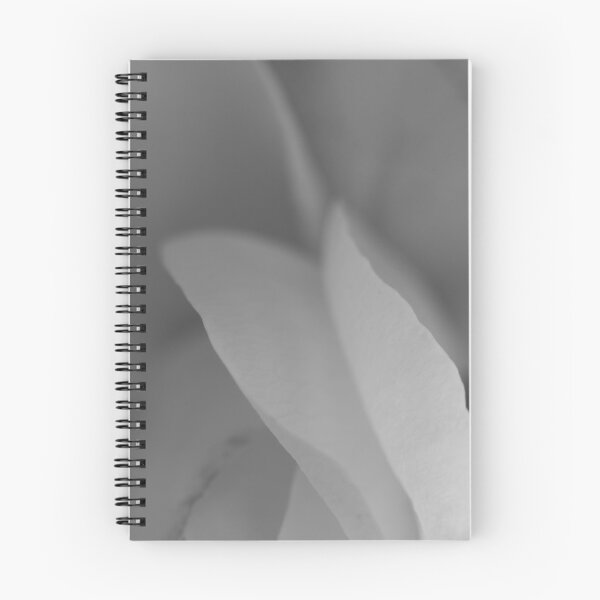 Item preview, Silken Layers: High-Key Minimalist Petals designed and sold by photossmirnov.