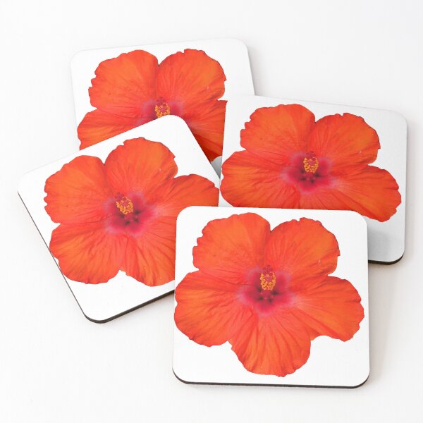 Item preview, Hibiscus  designed and sold by laura87price31.