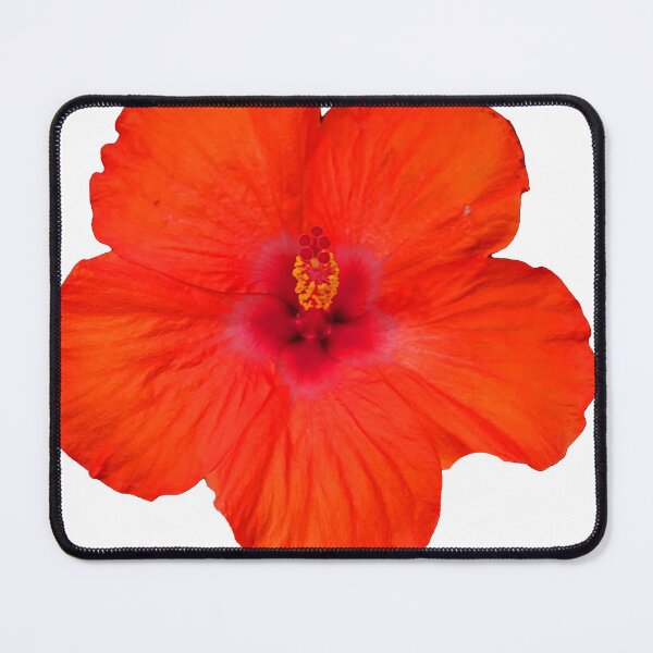 Item preview, Hibiscus designed and sold by laura87price31.