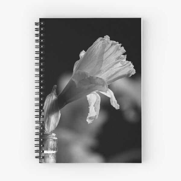 Item preview, Noir Bloom: Dramatic Withered Narcissus Art designed and sold by photossmirnov.