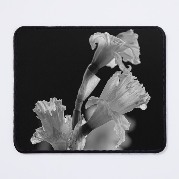 Item preview, Elegant Narcissus: Monochrome Still Life in Glass designed and sold by photossmirnov.