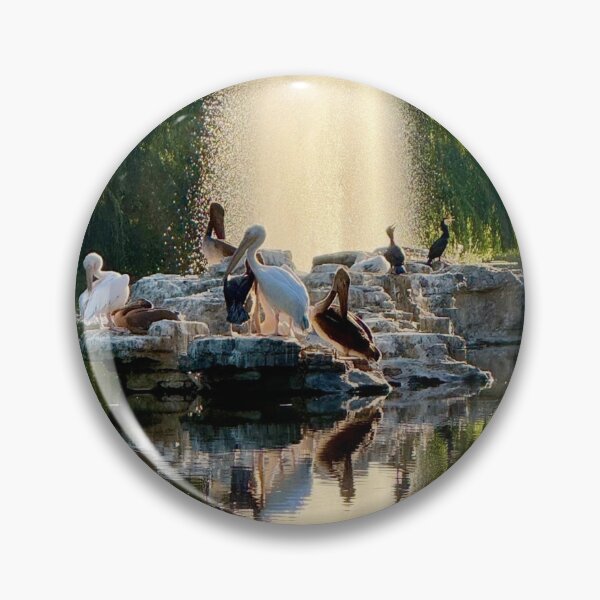 Item preview, London Pelicans on the Rocks designed and sold by The Running London Photographer.