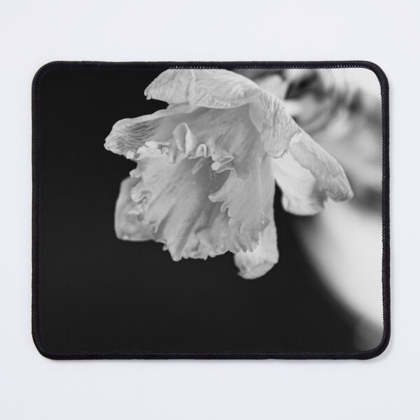 Item preview, Fragile Soul: Macro Monochrome Daffodil designed and sold by photossmirnov.