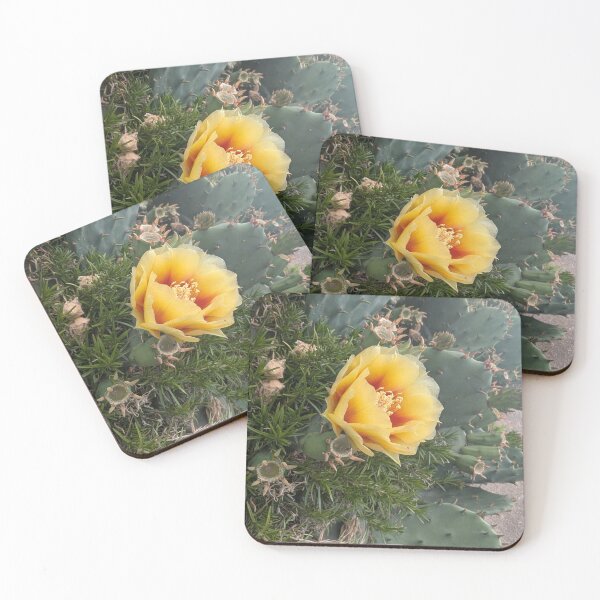 Item preview, Eastern Prickly Pear designed and sold by MacroFlower.
