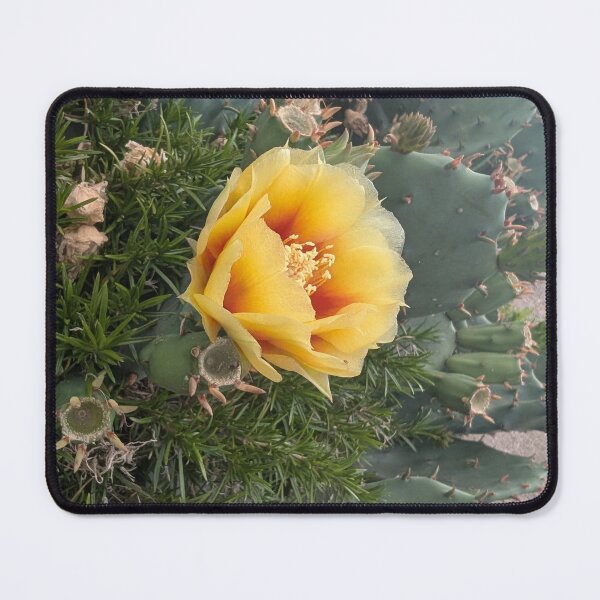 Item preview, Eastern Prickly Pear designed and sold by MacroFlower.