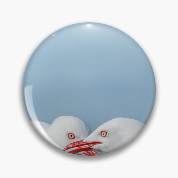 Item preview, Side-by-side colours and  features of two red-billed gulls, designed and sold by Brian Scantlebury.