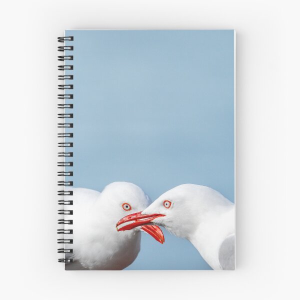 Item preview, Side-by-side colours and  features of two red-billed gulls, designed and sold by Brian Scantlebury.