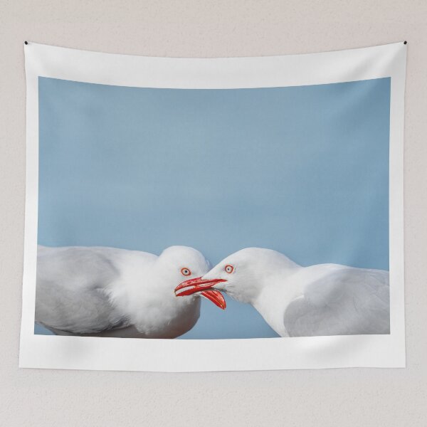 Item preview, Side-by-side colours and  features of two red-billed gulls, designed and sold by Brian Scantlebury.