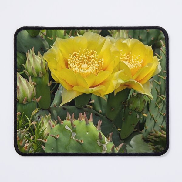 Item preview, Eastern Prickly Pear Pair designed and sold by MacroFlower.