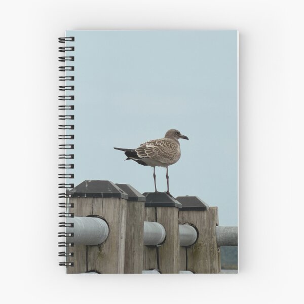 Item preview, Laughing Gull Perched on a Post. designed and sold by Pearls1.