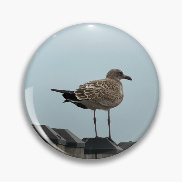 Item preview, Laughing Gull Perched on a Post. designed and sold by Pearls1.