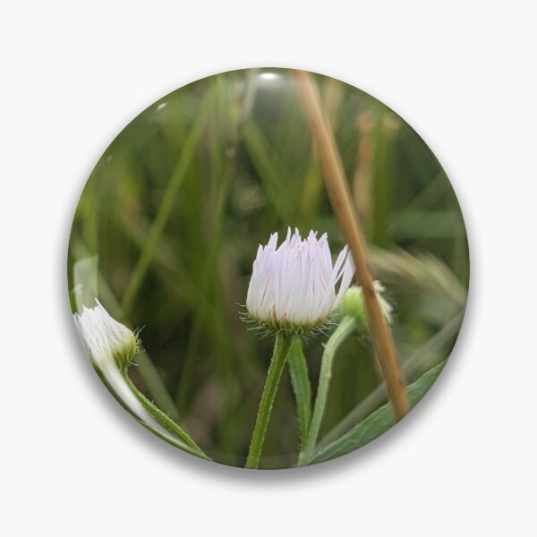 Item preview, Daisy Fleabane Bud designed and sold by MacroFlower.