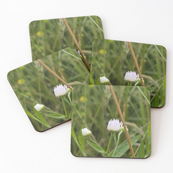 Item preview, Daisy Fleabane Bud designed and sold by MacroFlower.