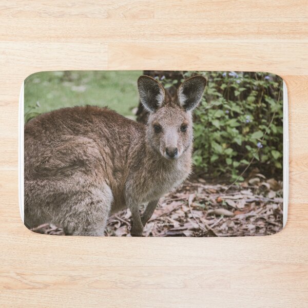 Item preview, Cute Australian Kangaroo Portrait Wildlife Fine Art designed and sold by AuraInkSC.