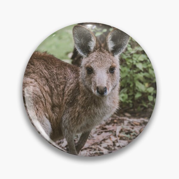 Item preview, Cute Australian Kangaroo Portrait Wildlife Fine Art designed and sold by AuraInkSC.