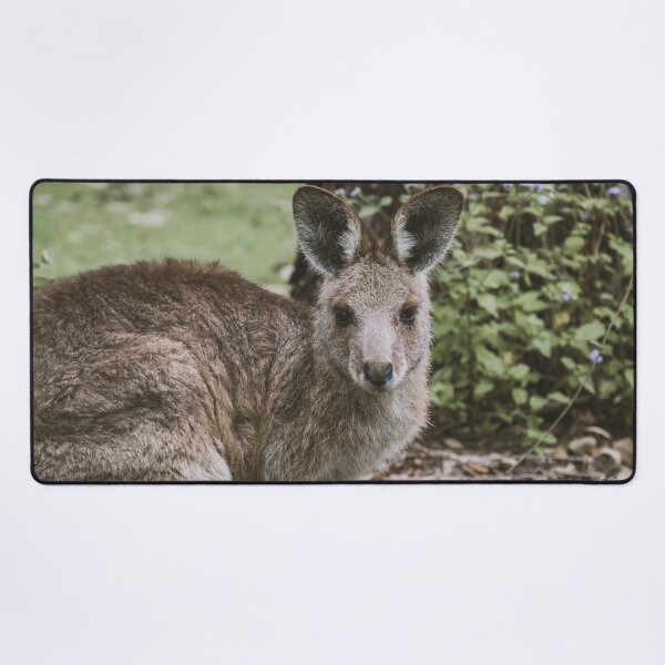 Item preview, Cute Australian Kangaroo Portrait Wildlife Fine Art designed and sold by AuraInkSC.