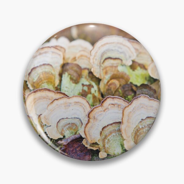 Item preview, Lichen designed and sold by WackAbstracts.