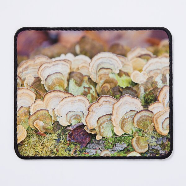 Item preview, Lichen designed and sold by WackAbstracts.