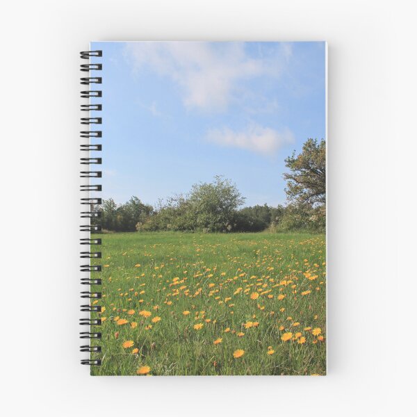Item preview,  Fields, wildflower meadow  under blue sky, wild in the country  designed and sold by naturematters.