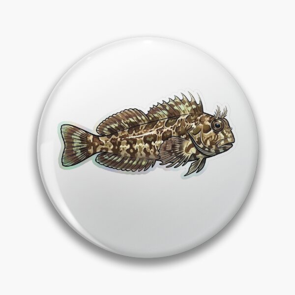 Item preview, Algae Blenny Tropical Saltwater Aquarium Fish Art designed and sold by KenworksDigital.