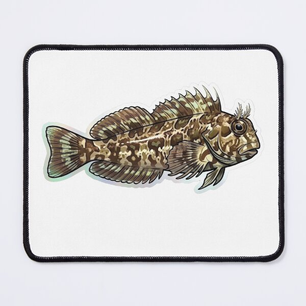 Item preview, Arte de peces de acuario tropicales de agua salada con blenio de algas y blénidos. designed and sold by KenworksDigital.