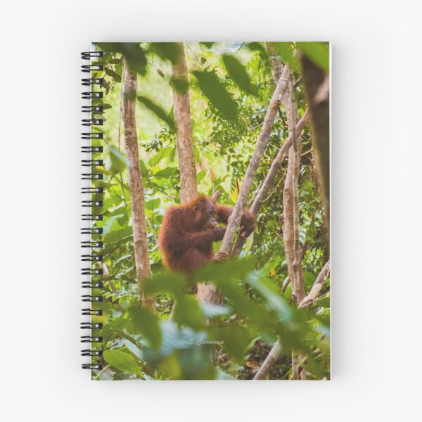 Item preview, Wild Orangutan in Borneo Rainforest Nature Art designed and sold by AuraInkSC.