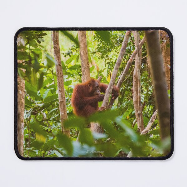 Item preview, Wild Orangutan in Borneo Rainforest Nature Art designed and sold by AuraInkSC.