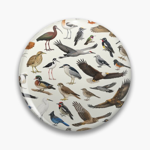 Item preview, Native Birds of Utah Retro Identification Chart designed and sold by kakarikihill.
