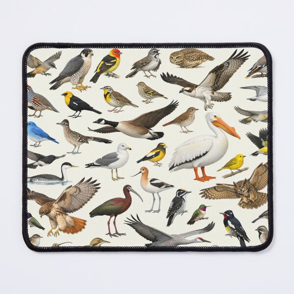 Item preview, Native Birds of Utah Retro Identification Chart designed and sold by kakarikihill.