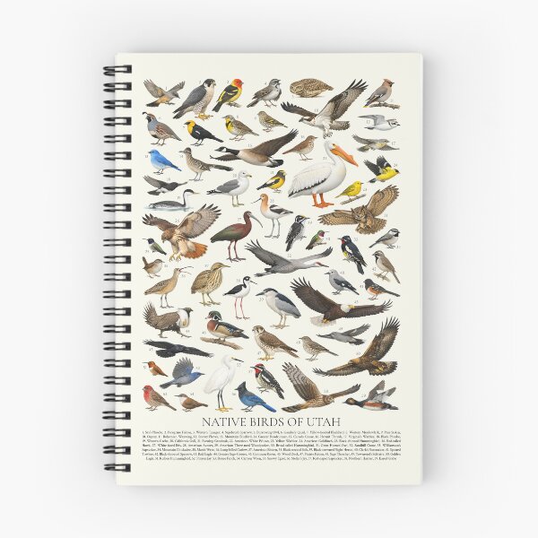 Item preview, Native Birds of Utah Retro Identification Chart designed and sold by kakarikihill.